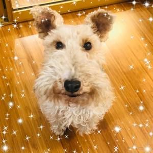 Meet your Posher, Selena